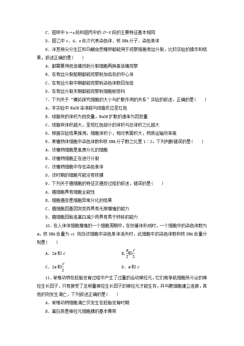 浙科版2019 高中生物 必修一  第四章细胞的生命历程阶段检测（word原卷板+解析版）02