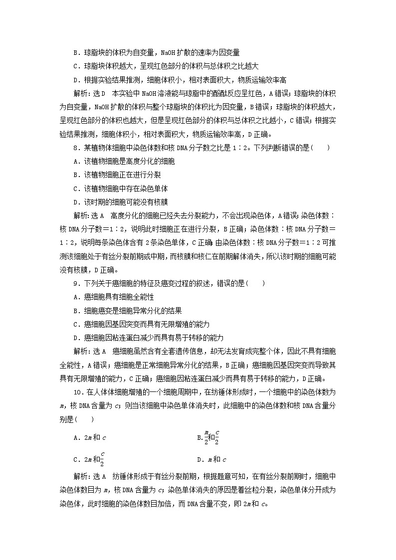 浙科版2019 高中生物 必修一  第四章细胞的生命历程阶段检测（word原卷板+解析版）03