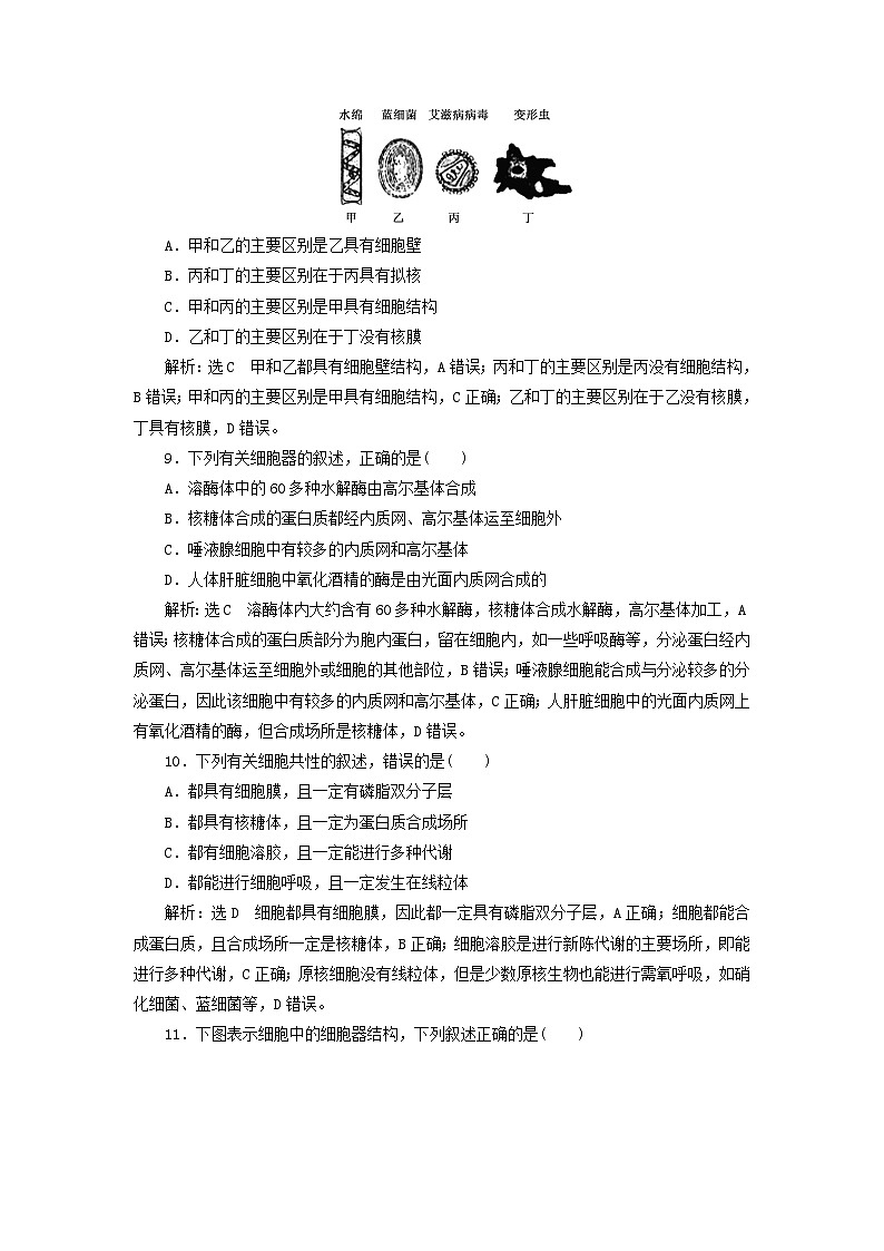 浙科版2019 高中生物 必修一 第二章细胞的结构阶段检测 （word版含解析）03