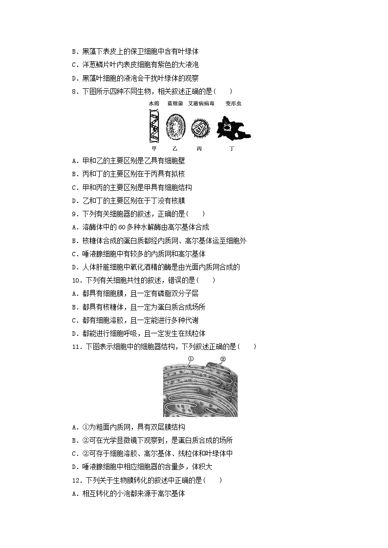 浙科版2019 高中生物 必修一 第二章细胞的结构阶段检测 （word版含解析）02