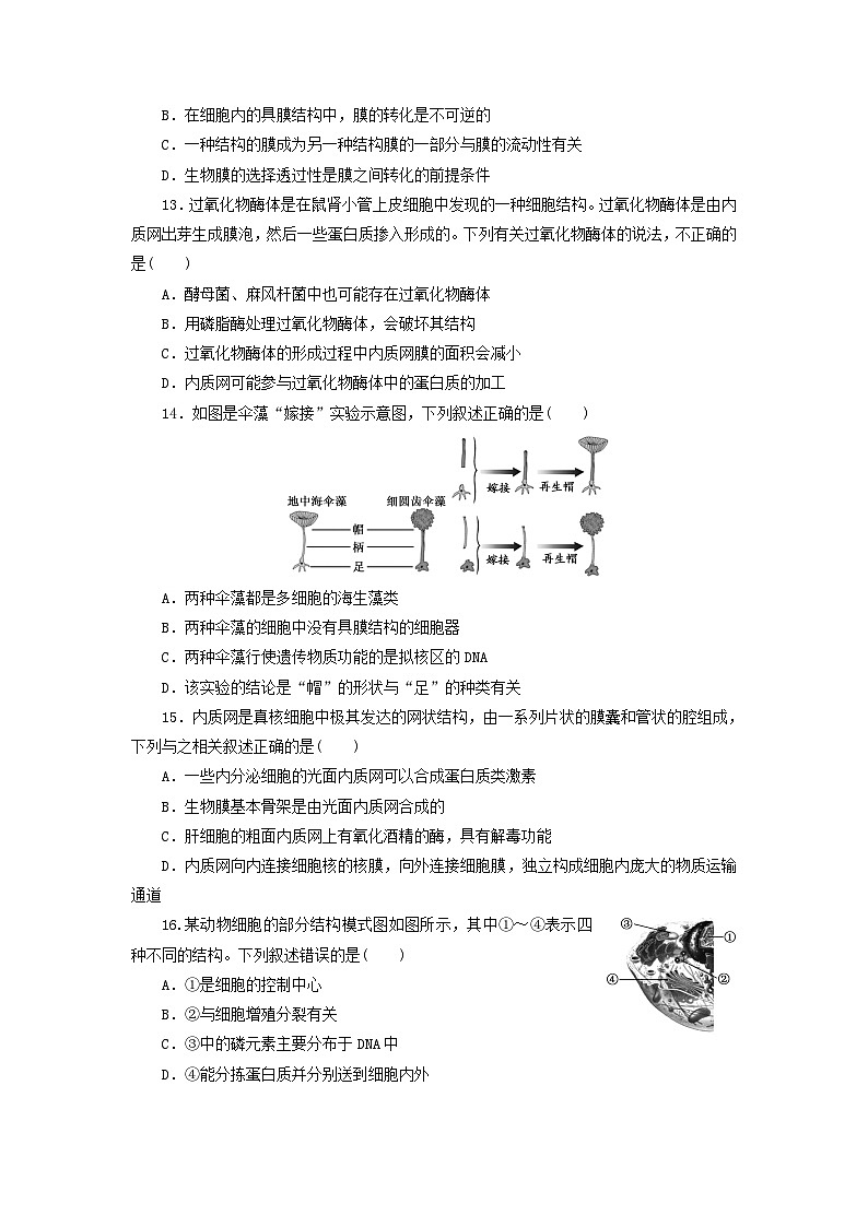浙科版2019 高中生物 必修一 第二章细胞的结构阶段检测 （word版含解析）03