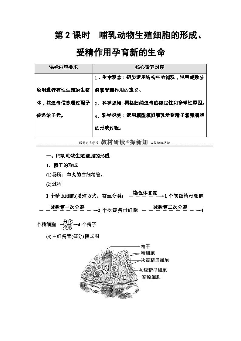 苏教版（2019）高中生物： 必修2 第1章 第1节 第2课时 哺乳动物生殖细胞的形成、受精作用孕育新的生命 教案 Word版含答案01
