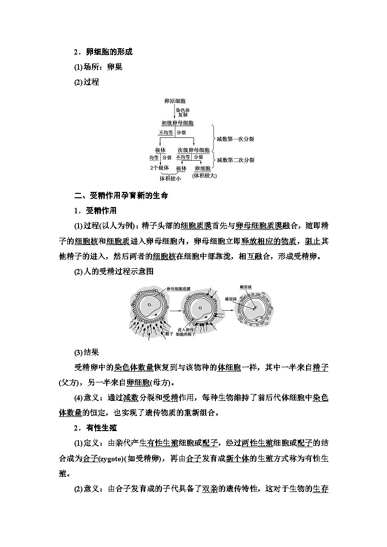 苏教版（2019）高中生物： 必修2 第1章 第1节 第2课时 哺乳动物生殖细胞的形成、受精作用孕育新的生命 教案 Word版含答案02