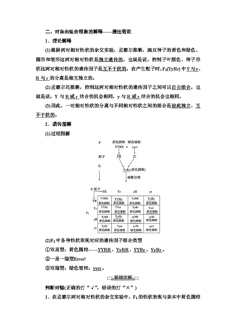 苏教版（2019）高中生物： 必修2 第1章 第3节 第1课时 两对相对性状的杂交实验与自由组合现象的解释 学案 （Word版含解析）02