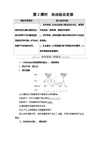 苏教版（2019）高中生物： 必修2 第1章 第3节 第2课时 自由组合定律 学案 Word版含解析