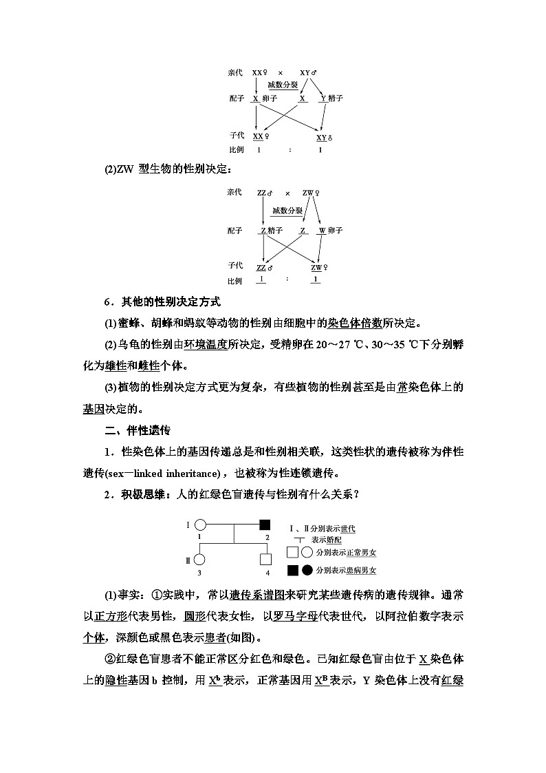 苏教版（2019）高中生物： 必修2 第1章 第4节 第2课时 性别决定和伴性遗传 学案（ Word版含解析）第2页