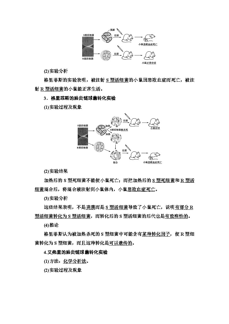苏教版（2019）高中生物： 必修2 第2章 第1节 DNA是主要的遗传物质 学案（ Word版含解析）02