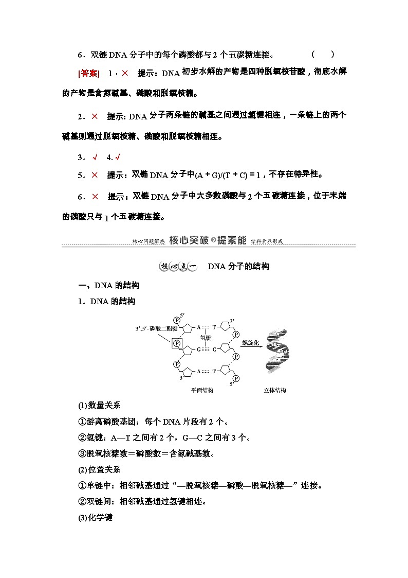 苏教版（2019）高中生物： 必修2 第2章 第2节 第1课时 DNA分子的结构 学案 （Word版含解析）03