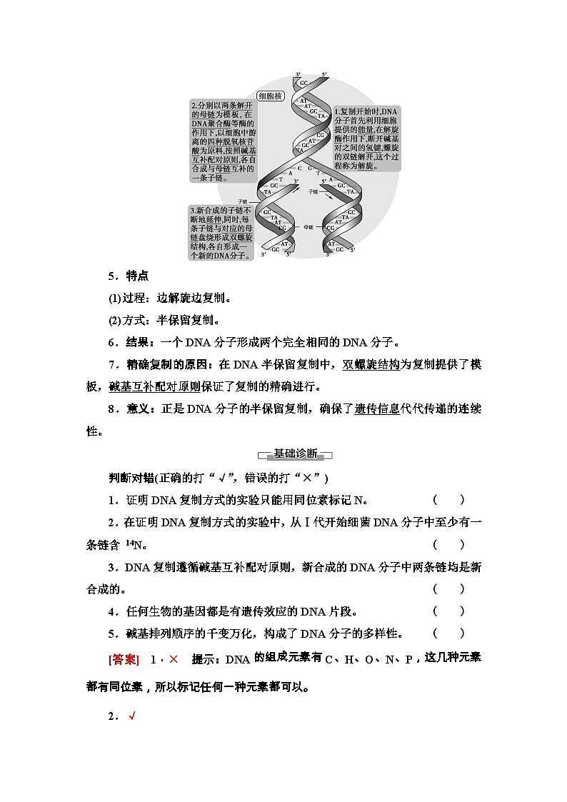 苏教版（2019）高中生物： 必修2 第2章 第2节 第2课时 DNA分子的复制 学案 （Word版含解析）03