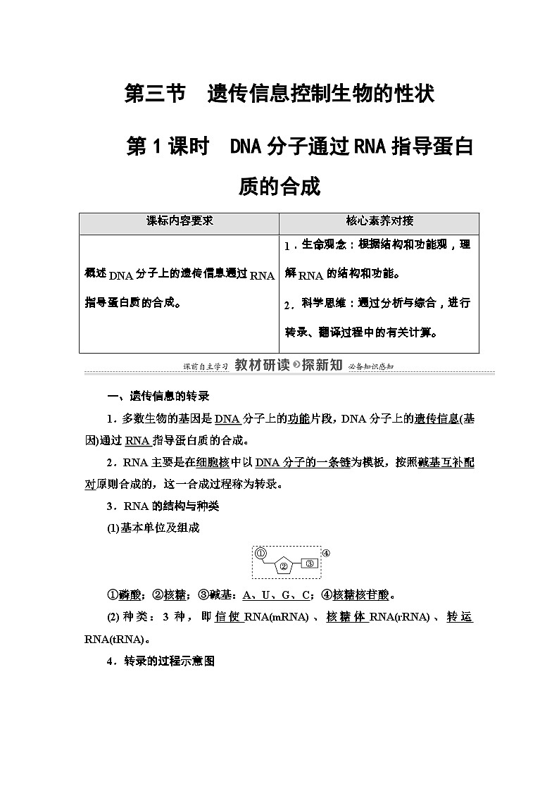苏教版（2019）高中生物： 必修2 第2章 第3节 第1课时 DNA分子通过RNA指导蛋白质的合成 教案 （Word版含解析）第1页