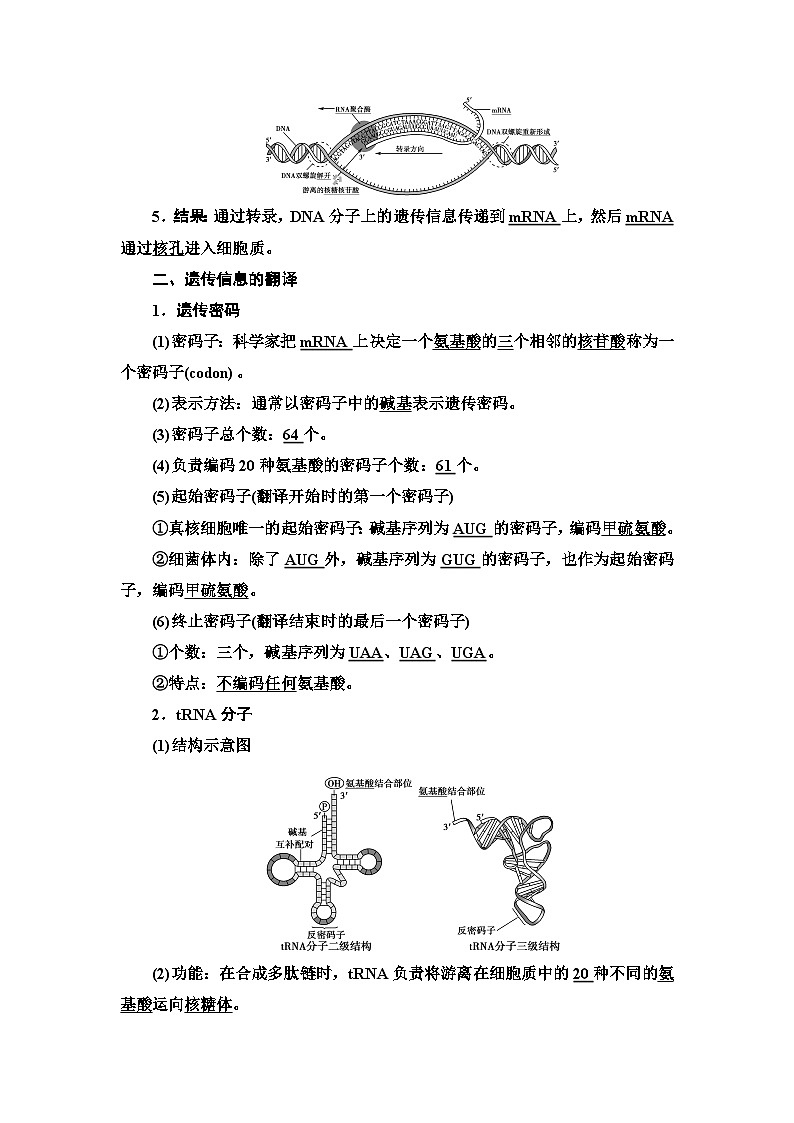 苏教版（2019）高中生物： 必修2 第2章 第3节 第1课时 DNA分子通过RNA指导蛋白质的合成 教案 （Word版含解析）第2页