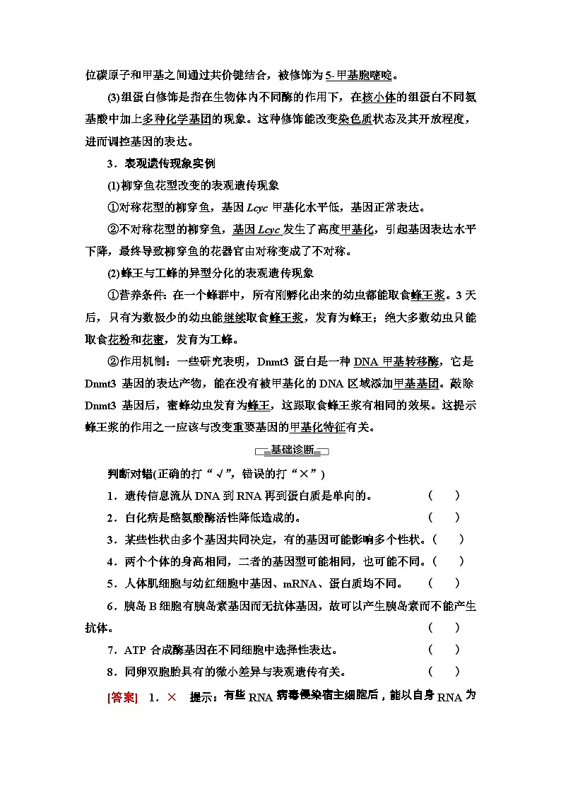 苏教版（2019）高中生物： 必修2 第2章 第3节 第2课时 中心法则、细胞分化及表观遗传 学案 （Word版含解析）03