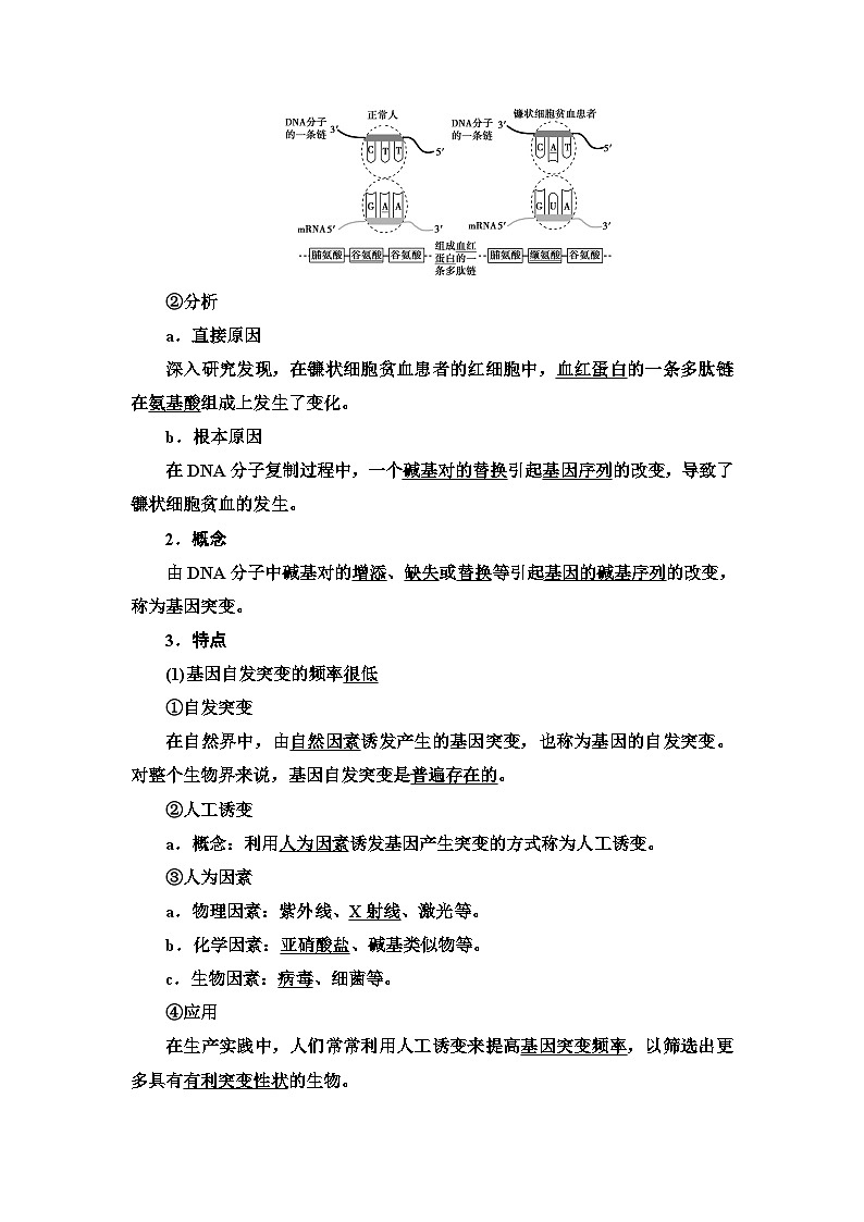 苏教版（2019）高中生物： 必修2 第3章 第2节 基因突变和基因重组 教案 （Word版含答案）02