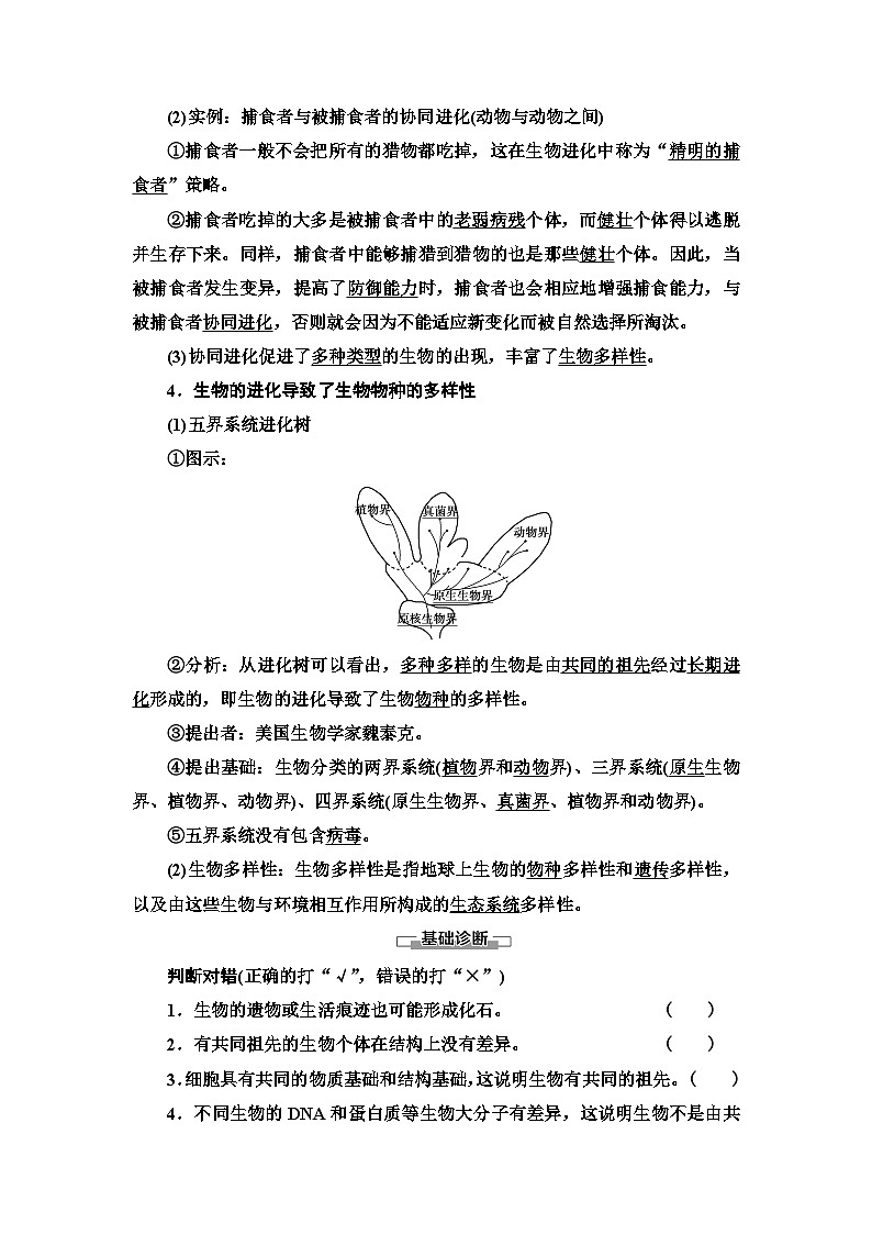 苏教版（2019）高中生物： 必修2 第4章 第2节 生物的多样性和适应性是进化的结果学案（Word版含答案）第3页