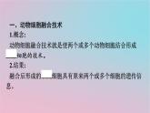 新教材2023年高中生物第2章细胞工程第2节动物细胞工程第2课时动物细胞融合技术与单克鹿体课件新人教版选择性必修3