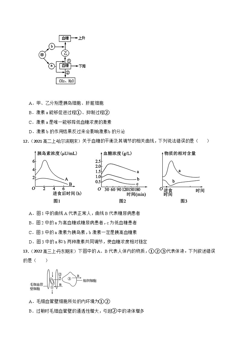 苏教版2019 高中生物 选择性必修一 2.2 血糖平衡的调节 同步练习03