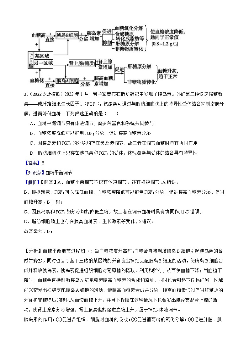 苏教版2019 高中生物 选择性必修一 2.2 血糖平衡的调节 同步练习02