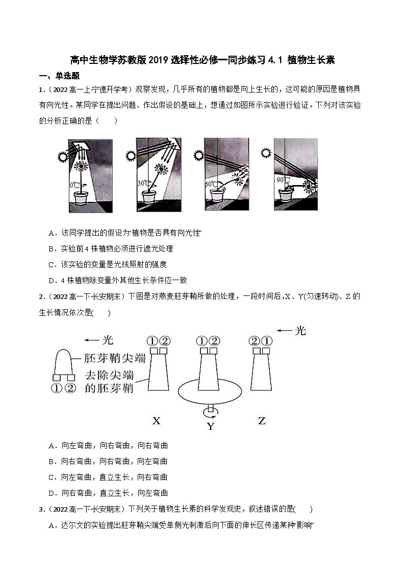苏教版2019 高中生物 选择性必修一  4.1 植物生长素（同步练习）01