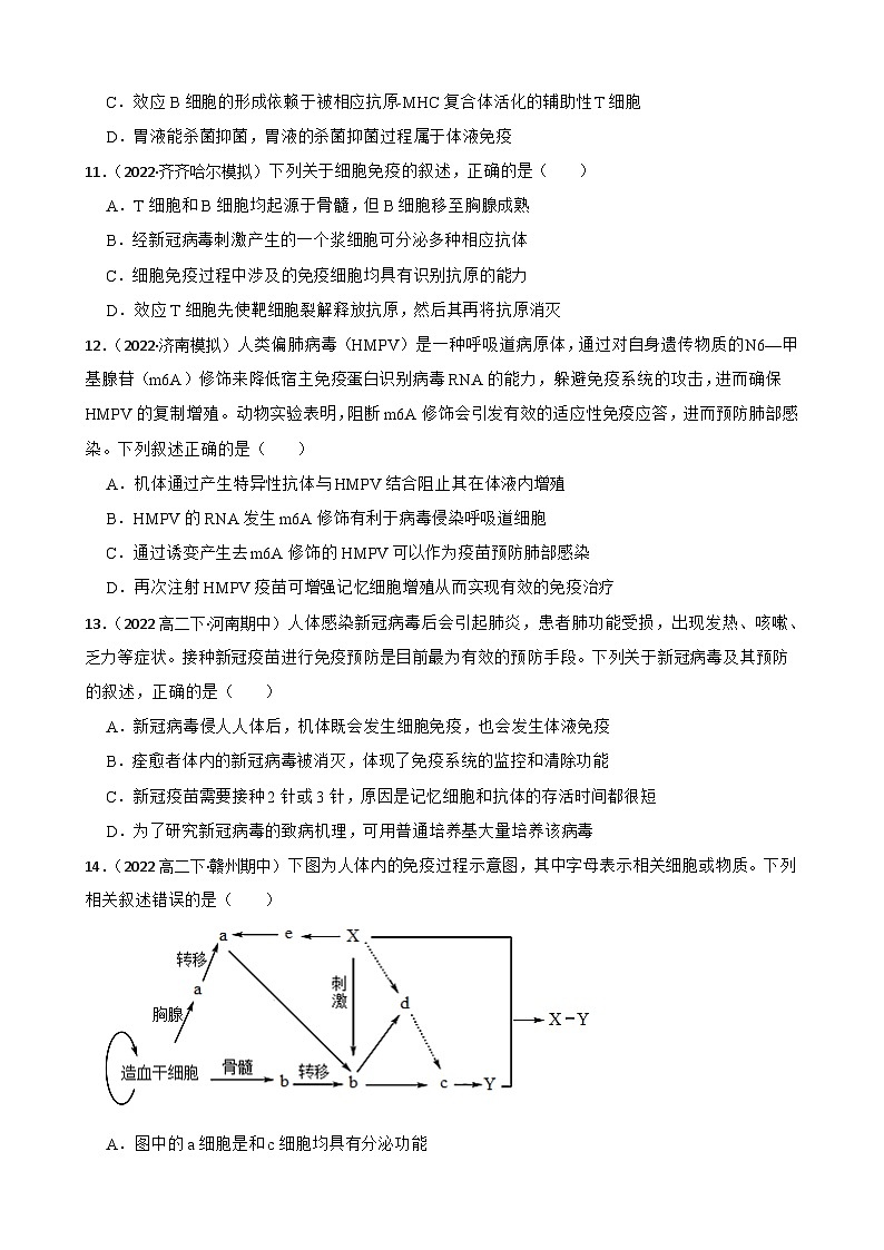 苏教版2019 高中生物 选择性必修一 3.1 人体的免疫应答 同步练习03