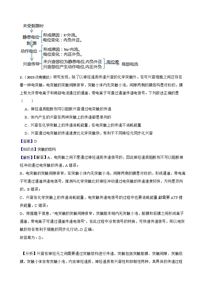 苏教版2019 高中生物 选择性必修一第一章 人体稳态维持的生理基础 （单元测试）02