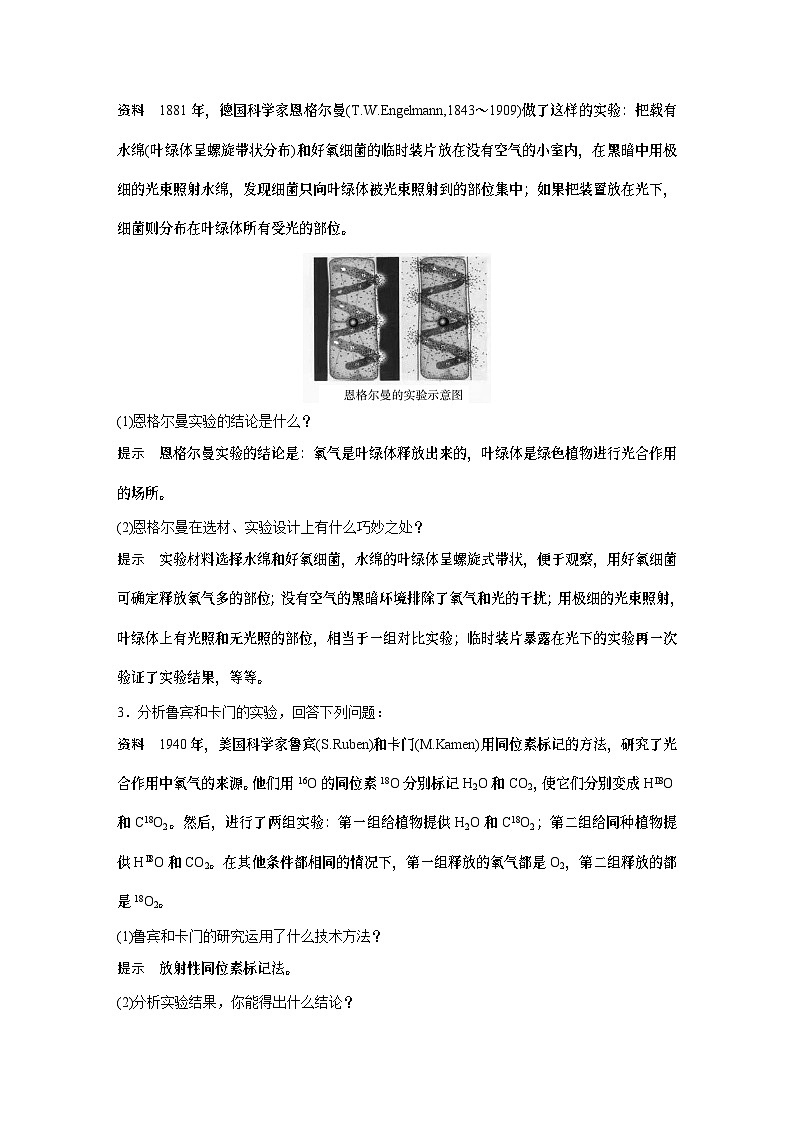 苏教版(2019）高中生物 必修1   第三章 第二节 第1课时　光合作用的认识过程与光合色素（学案+课时对点练 word版含解析）03