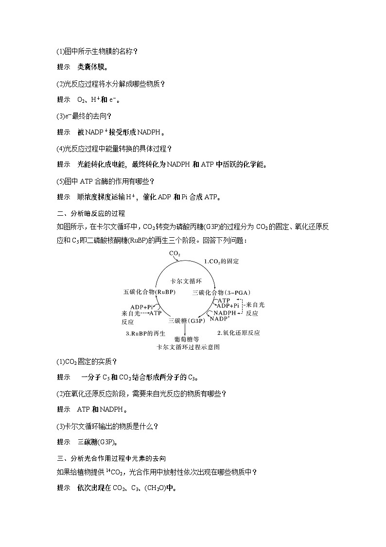 苏教版(2019）高中生物 必修1   第三章 第二节 第2课时　绿色植物光合作用的过程（学案+课时对点练 word版含解析）03