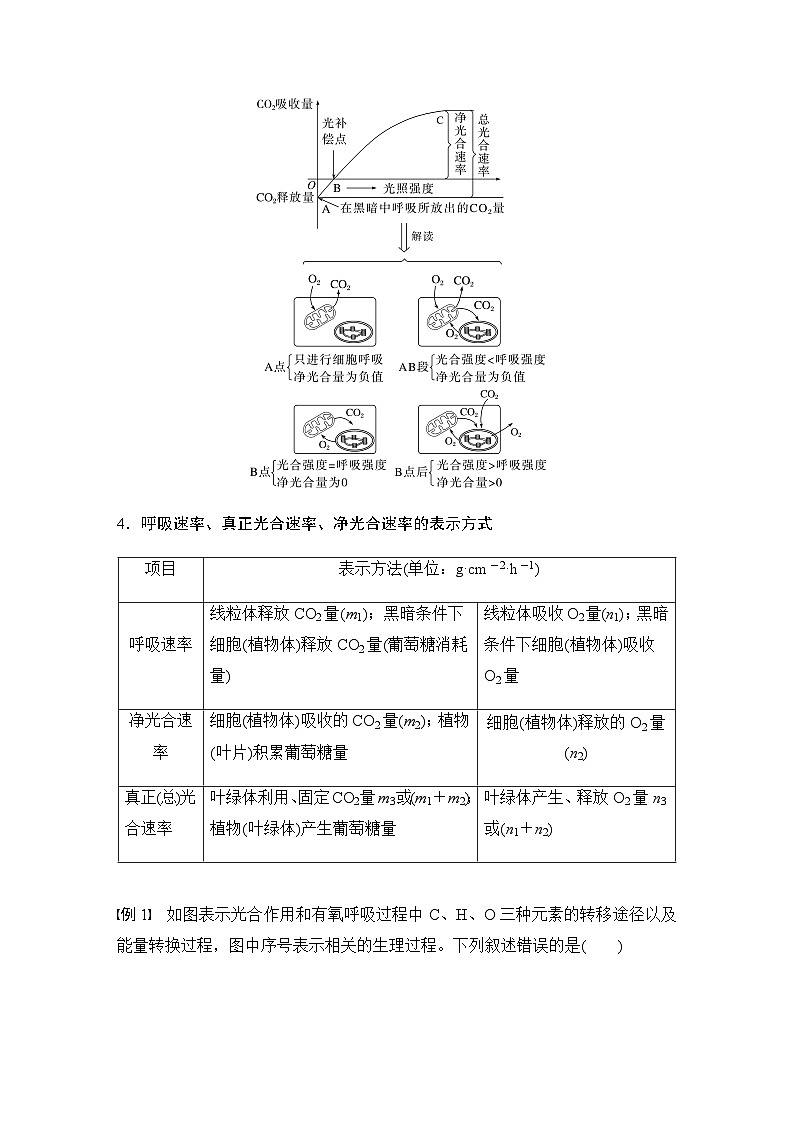 苏教版(2019）高中生物 必修1   第三章 第四节 微专题三 光合作用与细胞呼吸的关系、曲线模型及相关实验设计（学案+跟踪练 word版含解析）第3页