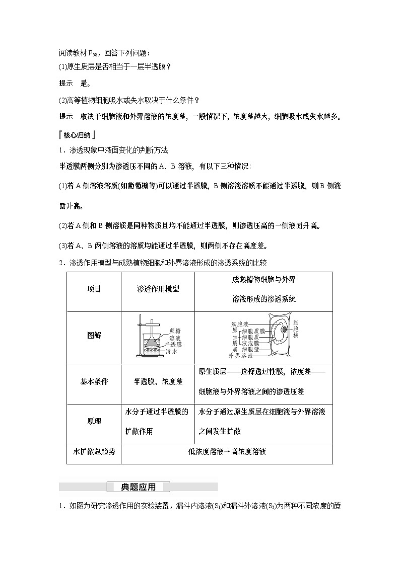 苏教版(2019）高中生物 必修1   第二章 第三节 第1课时　细胞质膜具有选择透过性（学案+课时对点练 word版含解析）03