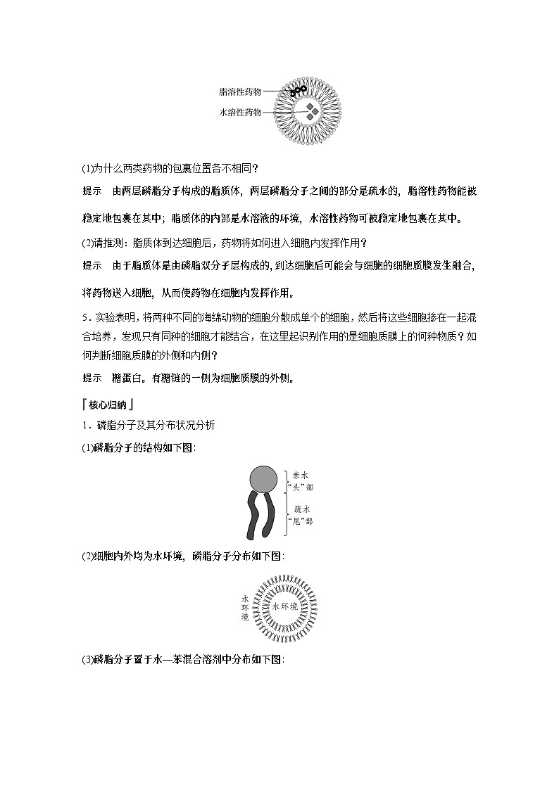 苏教版(2019）高中生物 必修1   第二章 第二节 第1课时　细胞质膜将细胞与外界环境分开（学案+课时对点练 word版含解析）03
