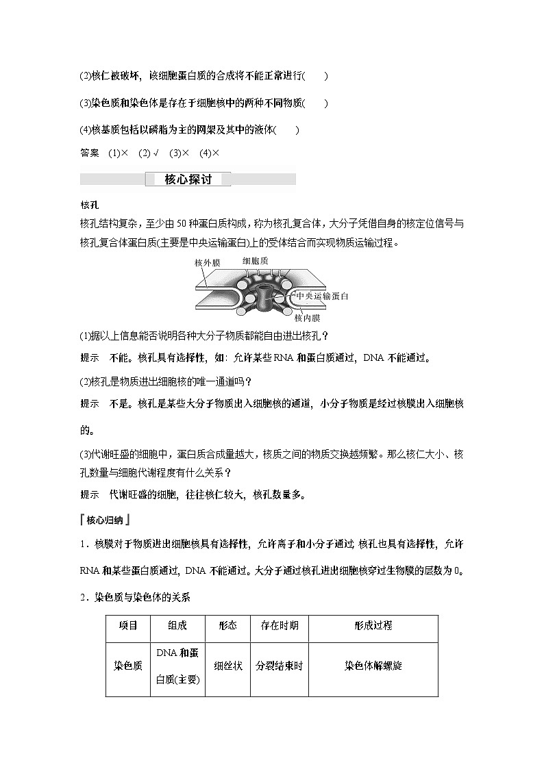 苏教版(2019）高中生物 必修1   第二章 第二节 第3课时　遗传信息主要储存在细胞核中（学案+课时对点练 word版含解析）02