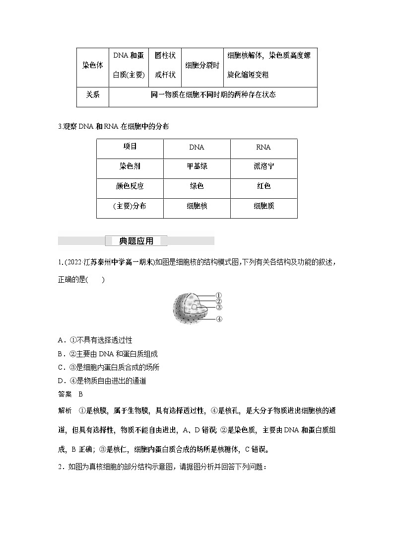 苏教版(2019）高中生物 必修1   第二章 第二节 第3课时　遗传信息主要储存在细胞核中（学案+课时对点练 word版含解析）03