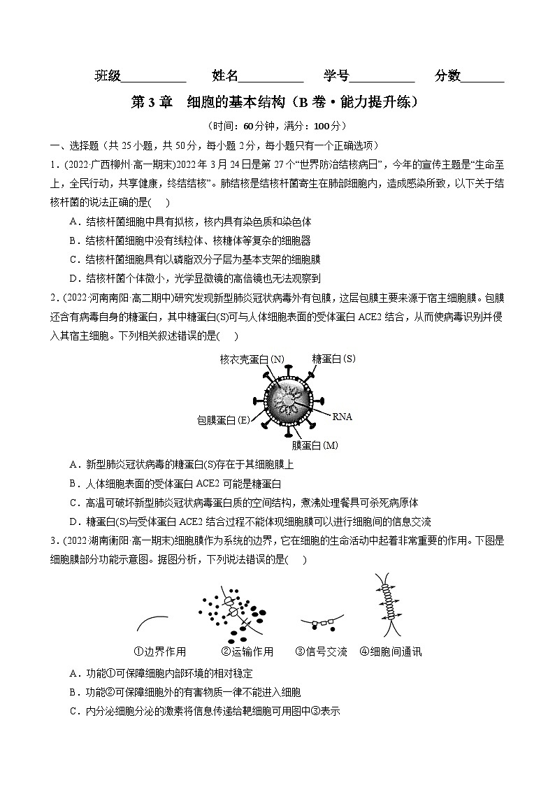 高一生物分层训练AB卷（人教版2019必修1）第3章  细胞的基本结构（B卷·能力提升练）01