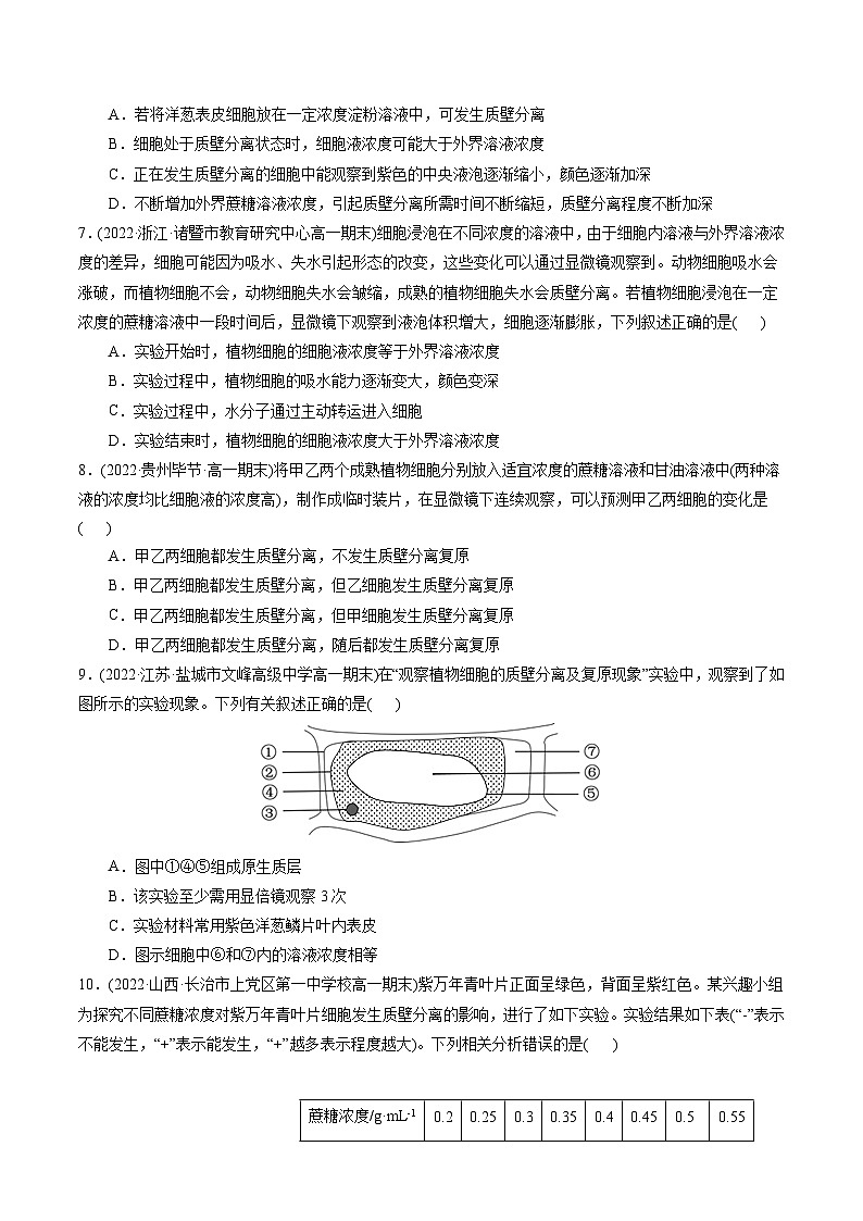 第4章  细胞的物质输入和输出（A卷·知识通关练）（学生版） 第3页