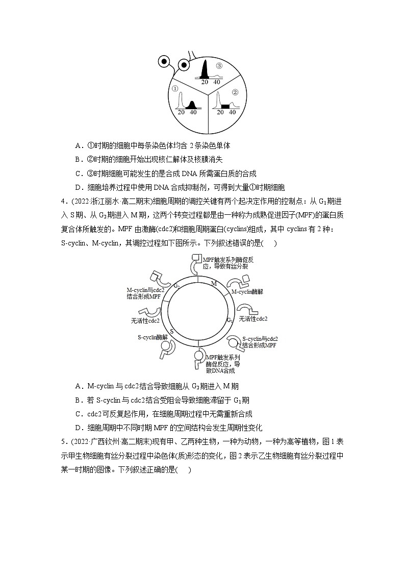 第6章  细胞的生命历程（B卷·能力提升练）（学生版） 第2页