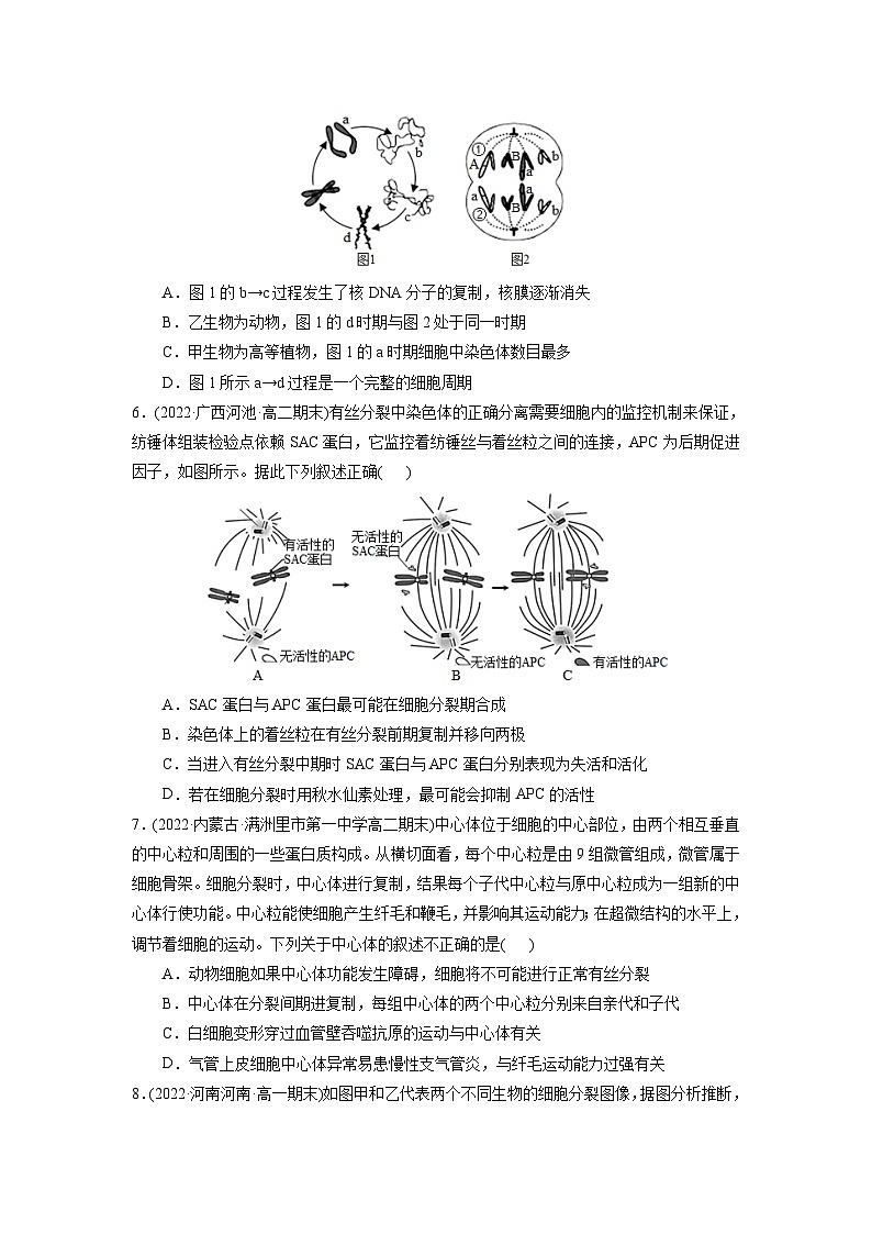 第6章  细胞的生命历程（B卷·能力提升练）（学生版） 第3页