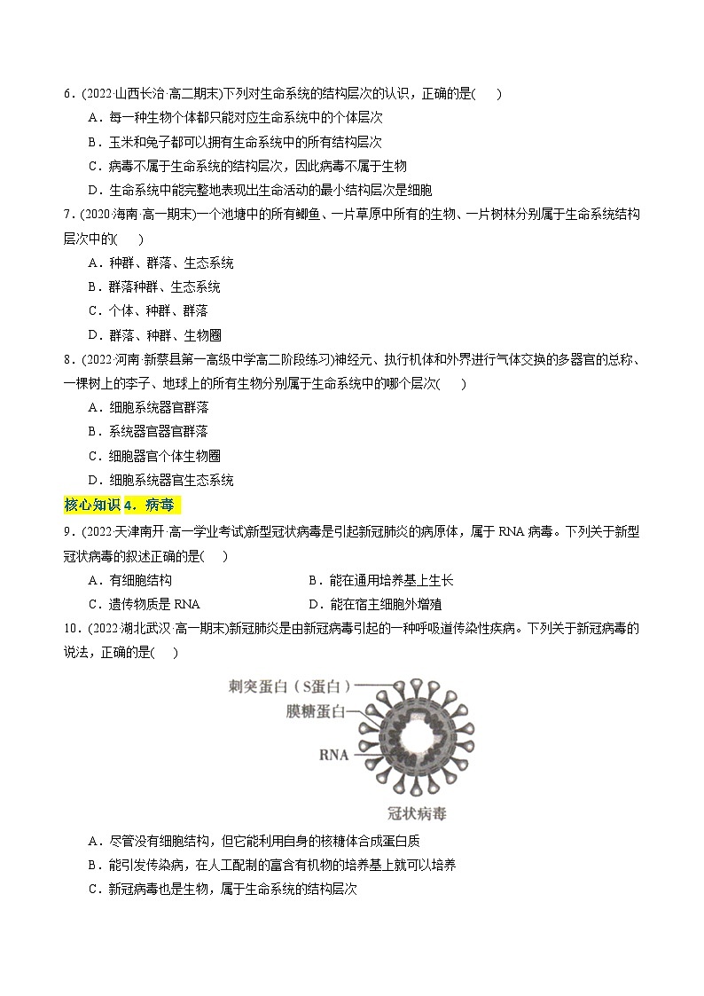 高一生物分层训练AB卷（人教版2019必修1）第1章 走近细胞（A卷·知识通关练）02
