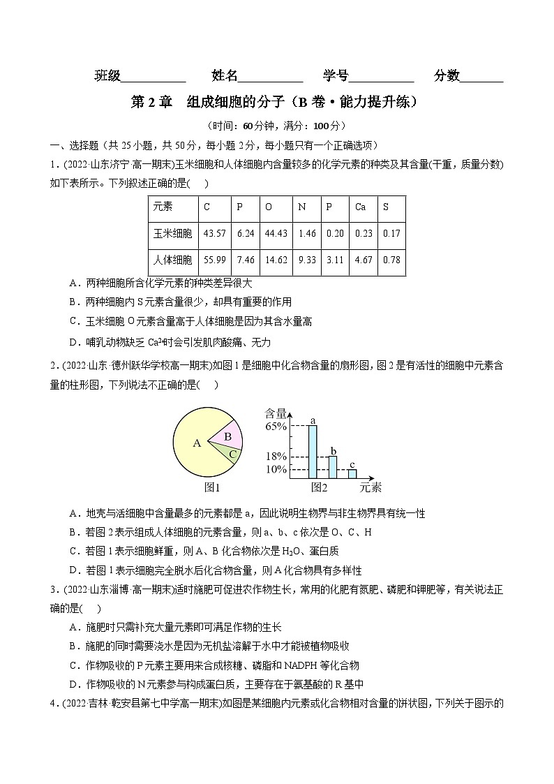 第2章  组成细胞的分子（B卷·能力提升练）（学生版） 第1页
