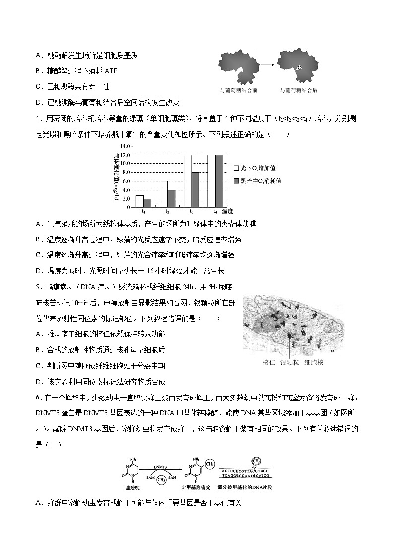 生物（北京卷）（考试版）第2页