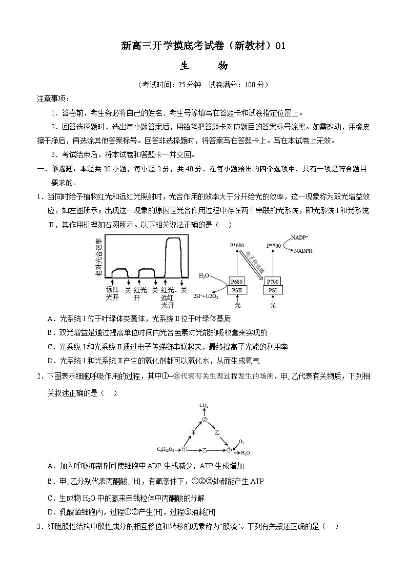 生物-新高三开学摸底考试卷（新教材专用）01(考试版)第1页