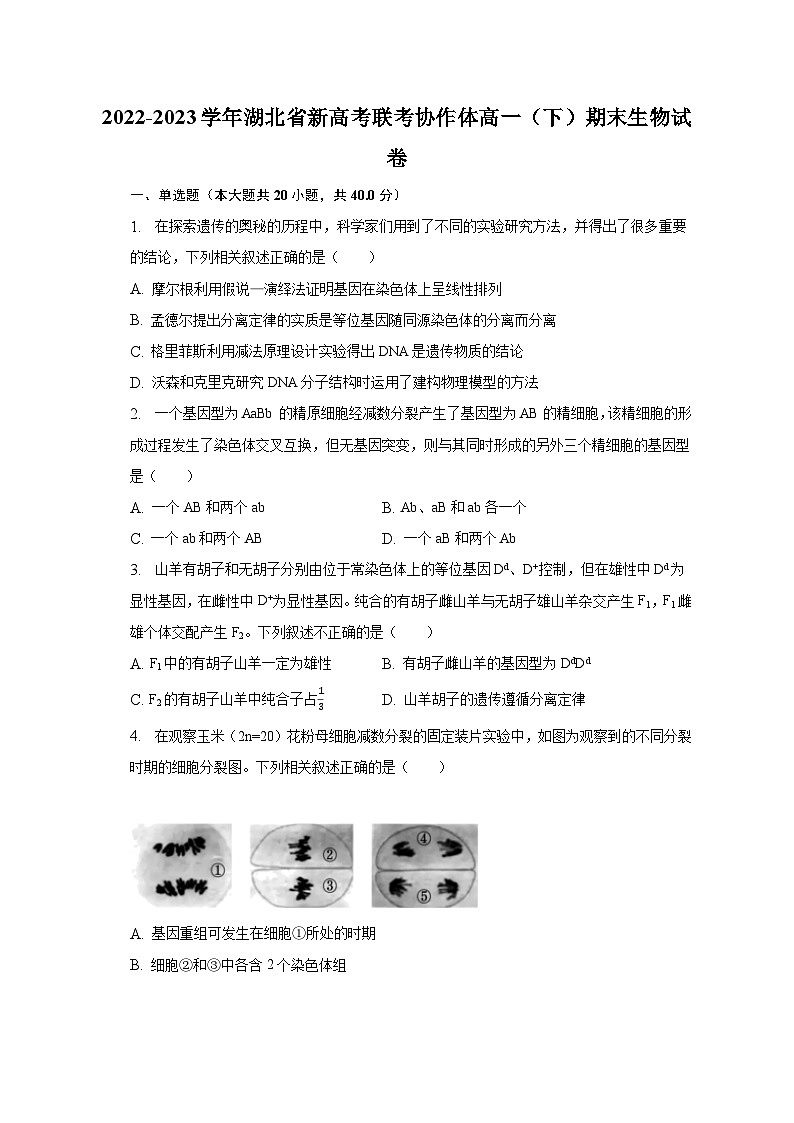 2022-2023学年湖北省新高考联考协作体高一（下）期末生物试卷（含解析）01