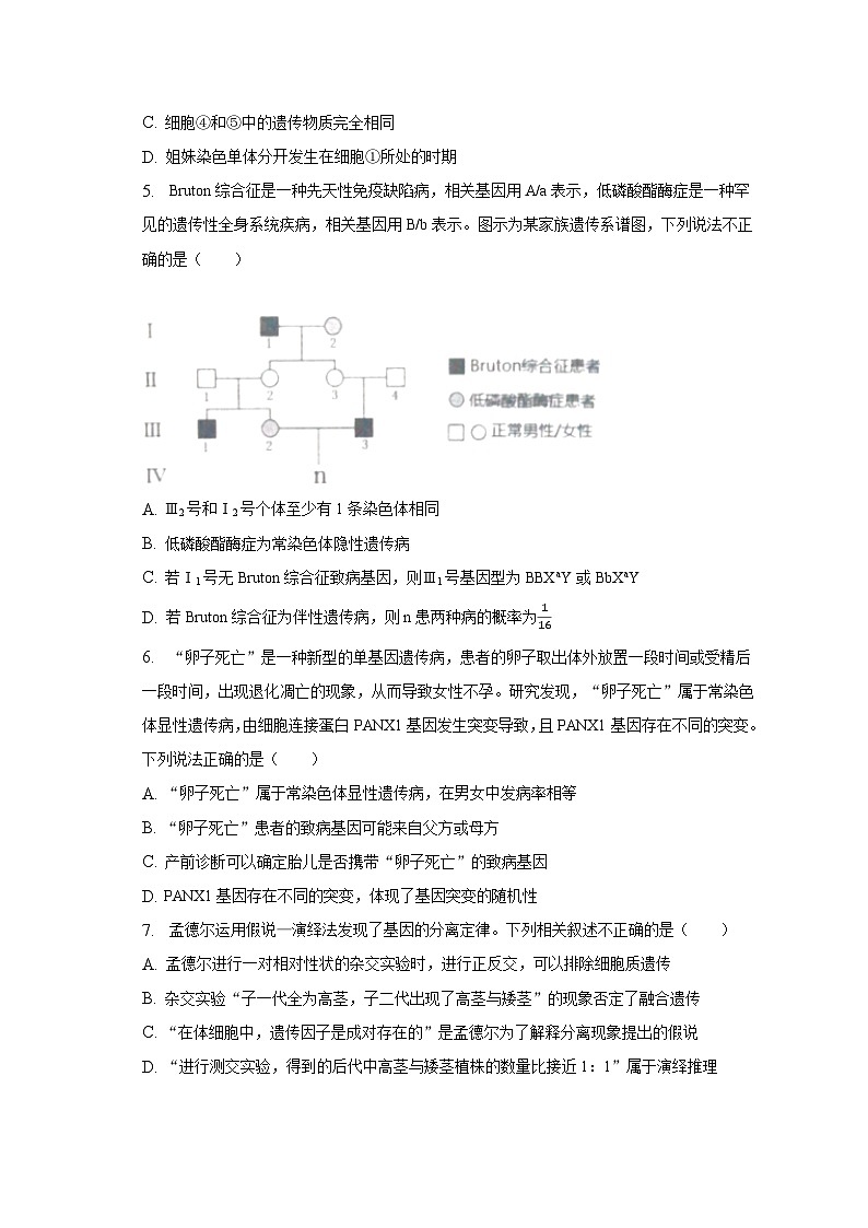 2022-2023学年湖北省新高考联考协作体高一（下）期末生物试卷（含解析）02