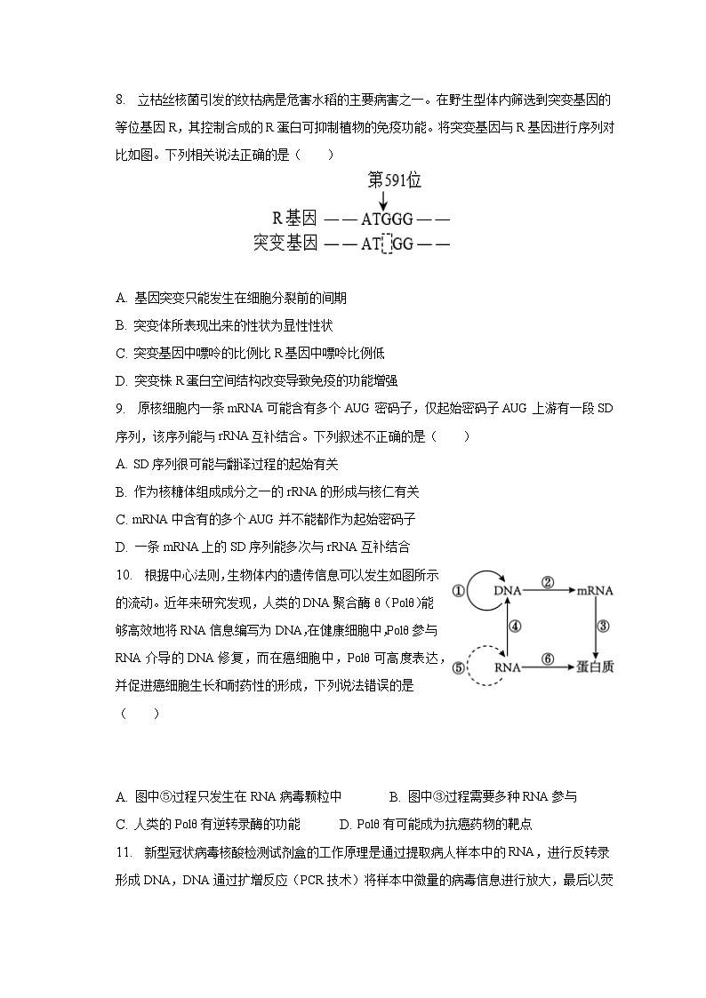 2022-2023学年湖北省新高考联考协作体高一（下）期末生物试卷（含解析）03