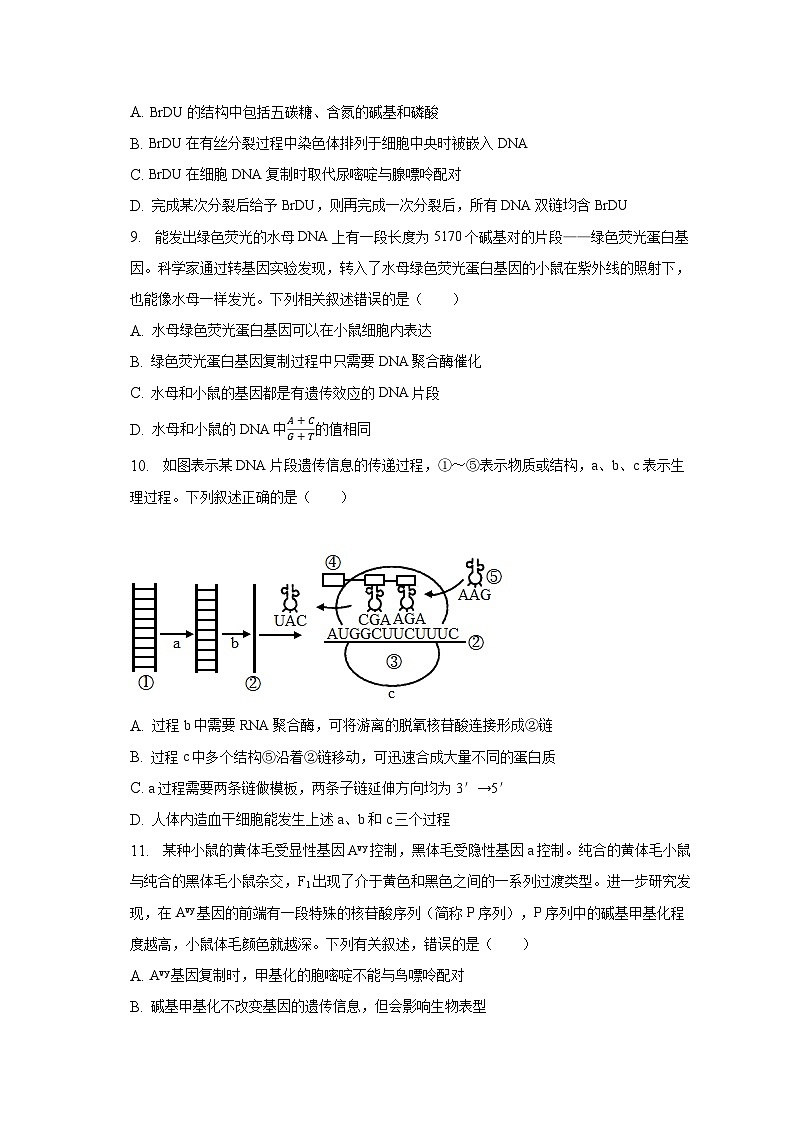2022-2023学年山西省运城市高一（下）期末生物试卷（含解析）03