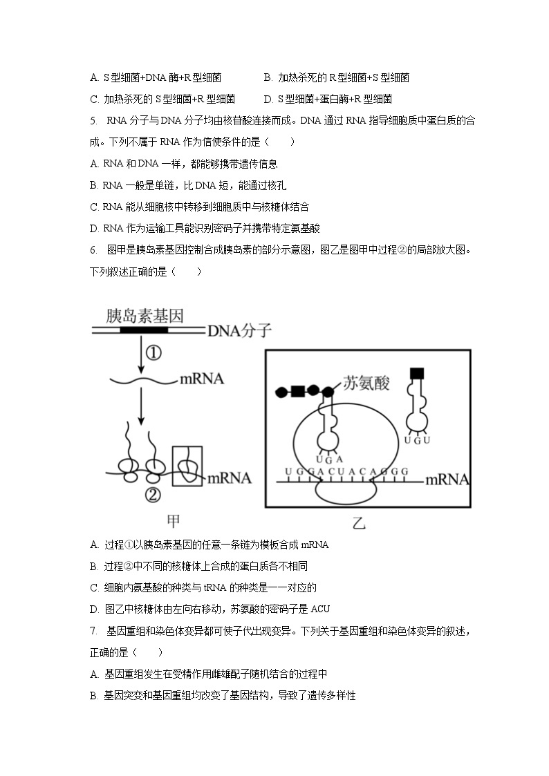 2022-2023学年河北省保定市高一（下）期末生物试卷（含解析）02