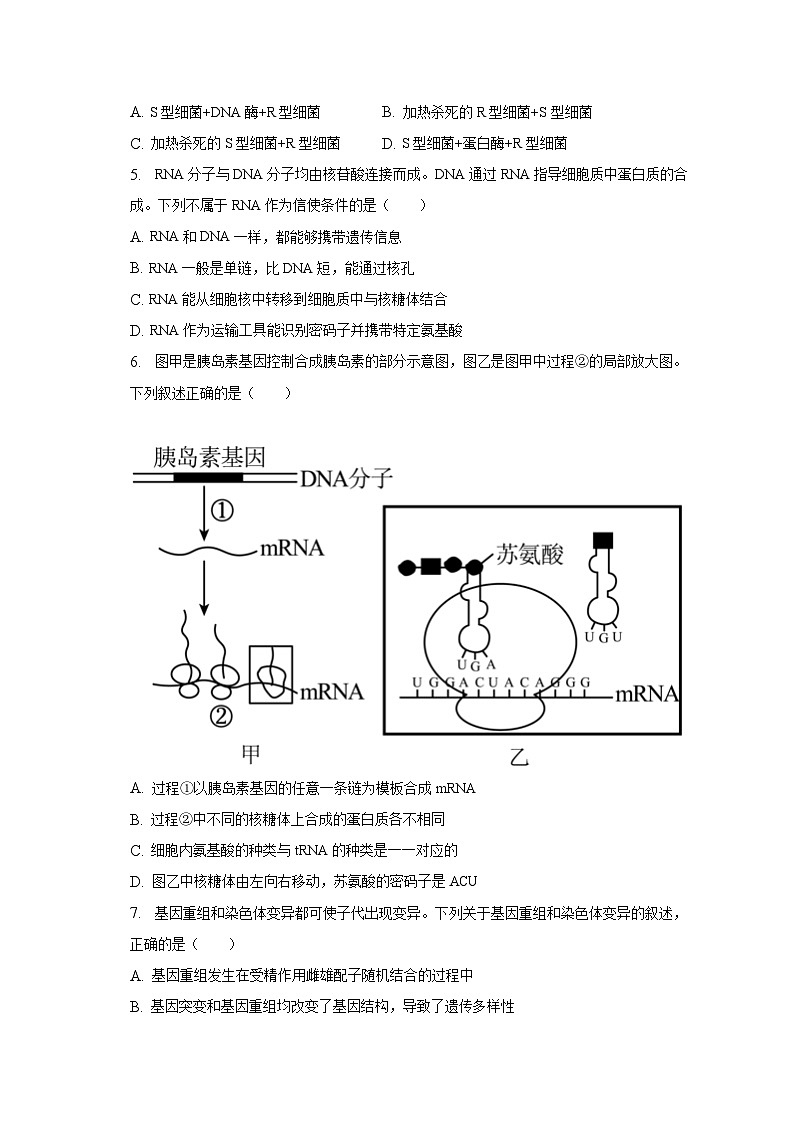2022-2023学年河北省保定市高一（下）期末生物试卷（含解析）02