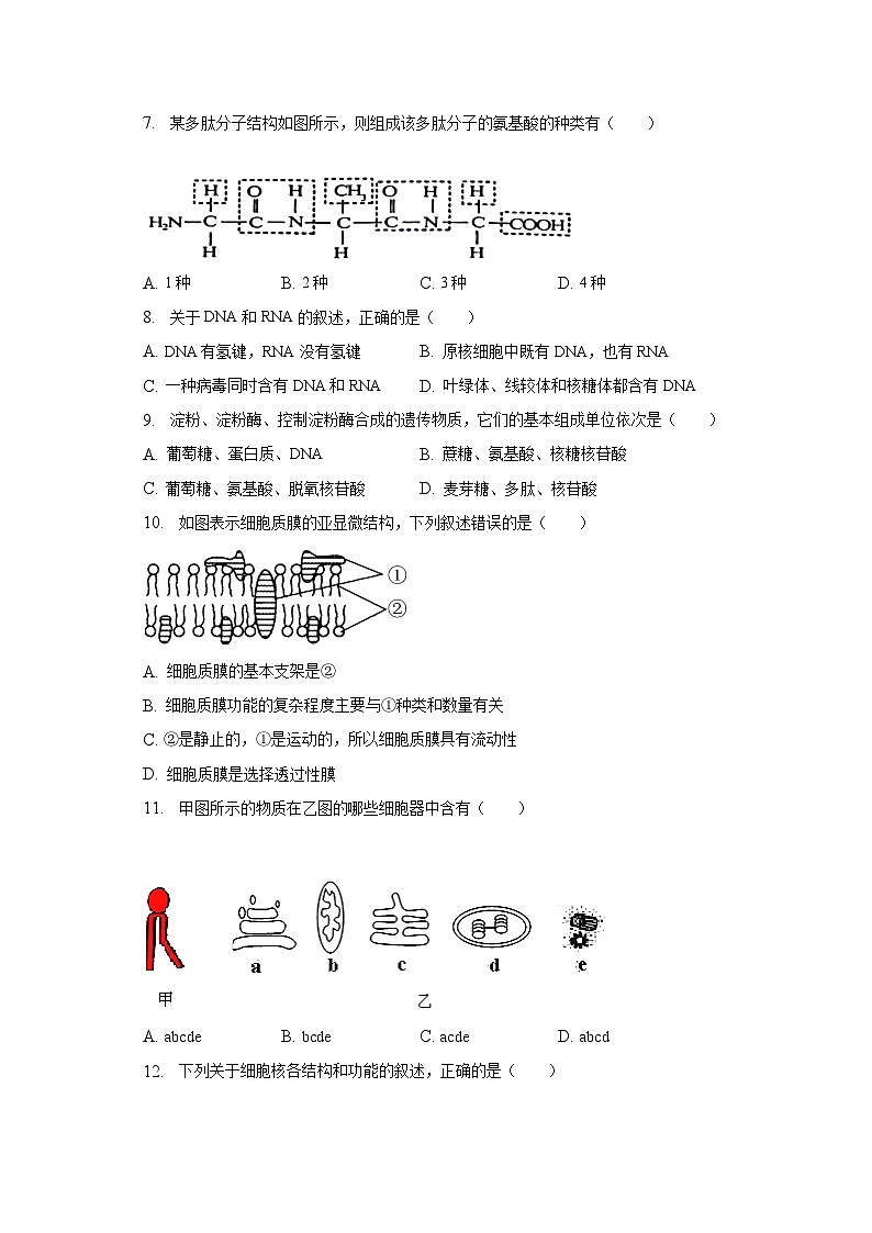 2022-2023学年宁夏银川市贺兰重点中学高一（下）期末生物试卷（含解析）02