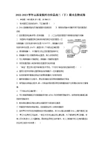 2022-2023学年山西省朔州市应县高二（下）期末生物试卷（含解析）