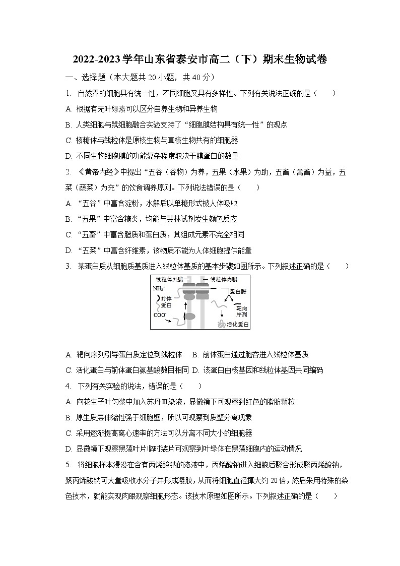 2022-2023学年山东省泰安市高二（下）期末生物试卷（含解析）01
