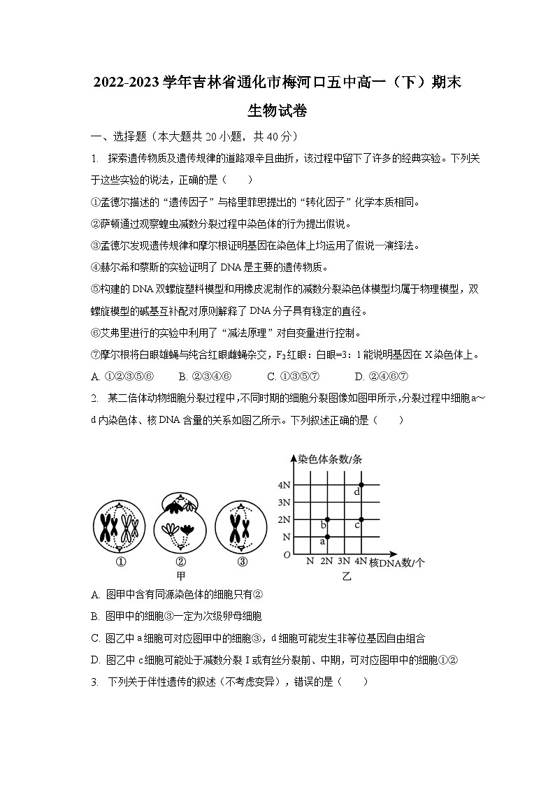 2022-2023学年吉林省通化市梅河口五中高一（下）期末生物试卷（含解析）01