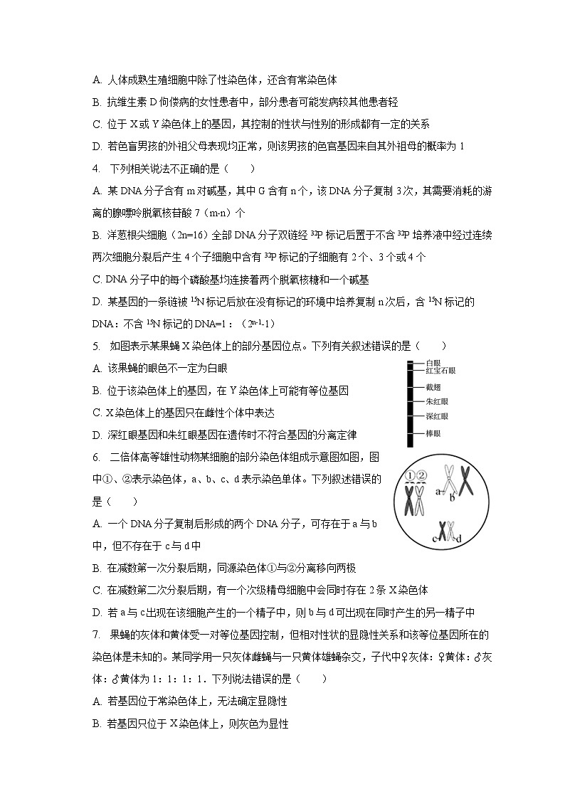 2022-2023学年吉林省通化市梅河口五中高一（下）期末生物试卷（含解析）02